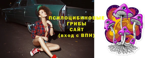 сатива Михайлов