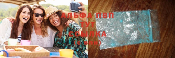 шишки Михайловск