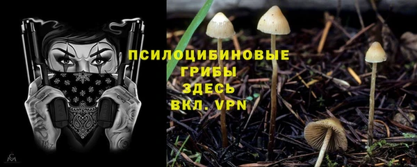 шишки Михайловск
