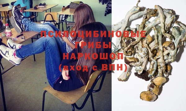 spice Заводоуковск